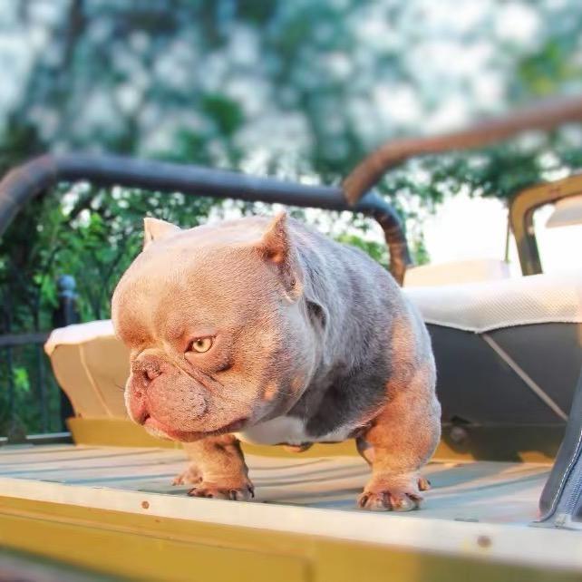 天津康宠生活馆