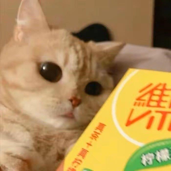 农村入刘哥