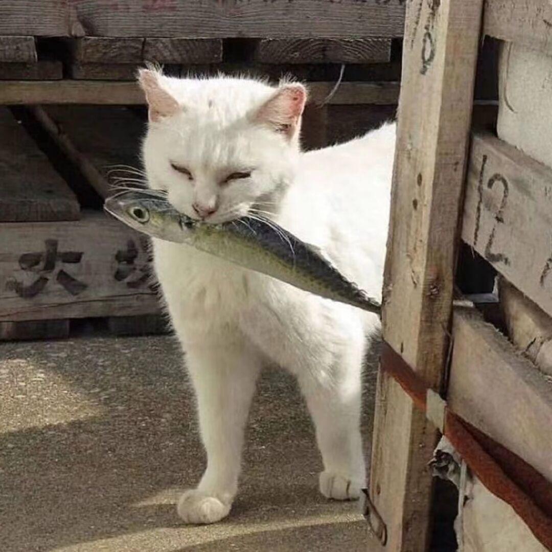 杨辉三角