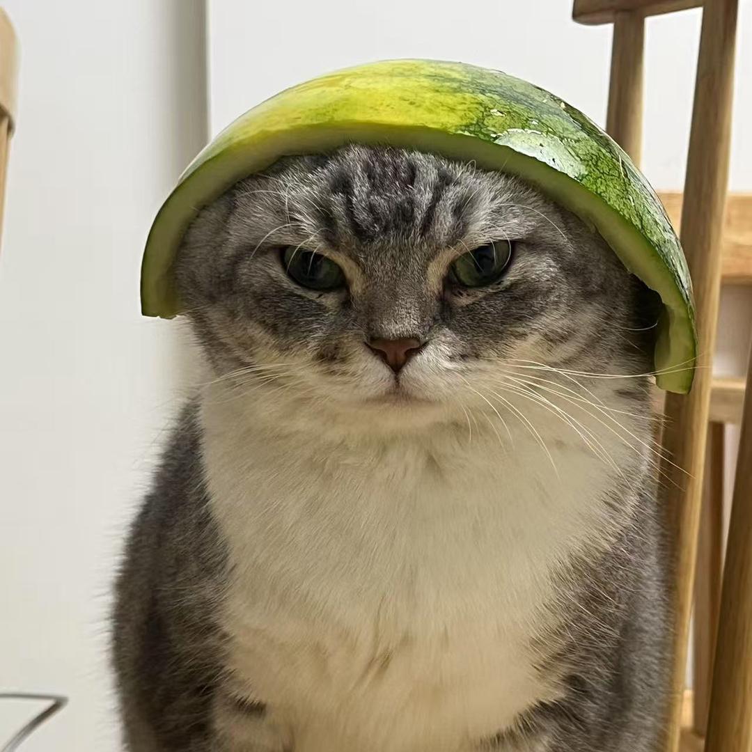 林夕❄️
