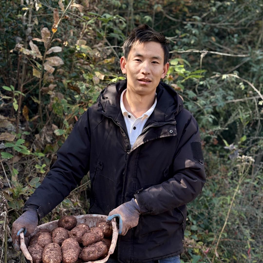 彝良天麻优品小铺