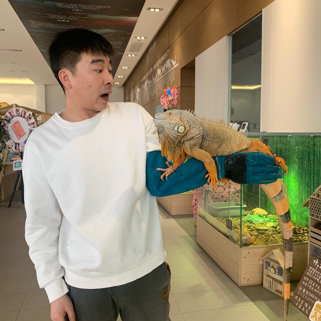 动物越养越多的--老宋