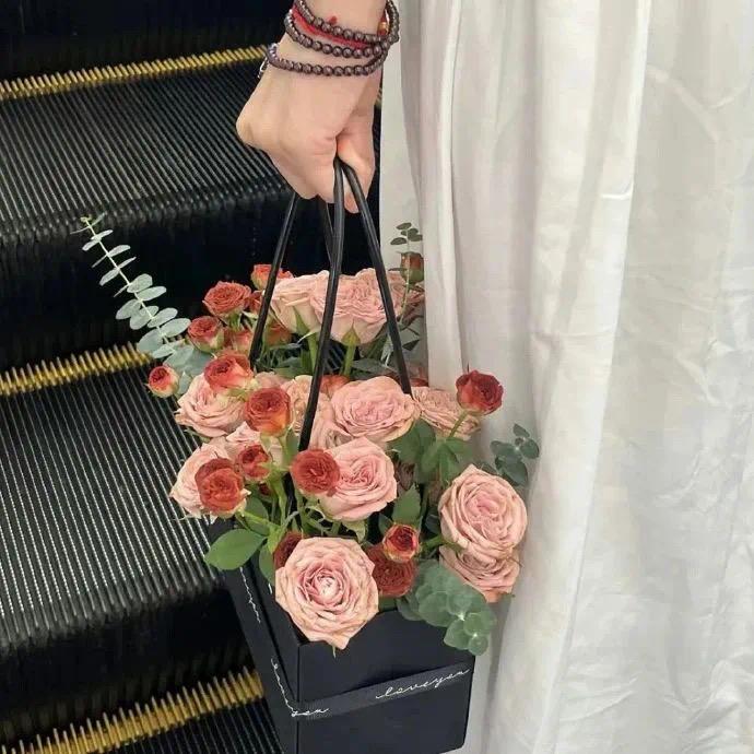 杨杨～保险咨询管理