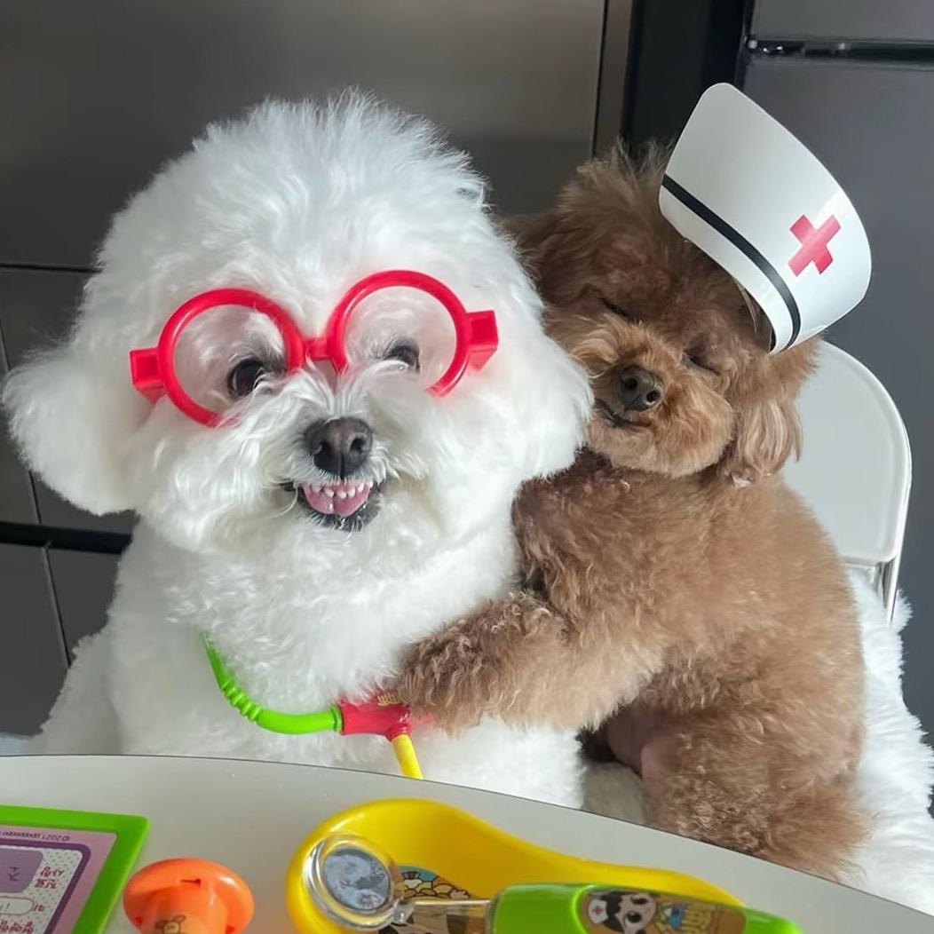 今天不吃螺蛳粉了