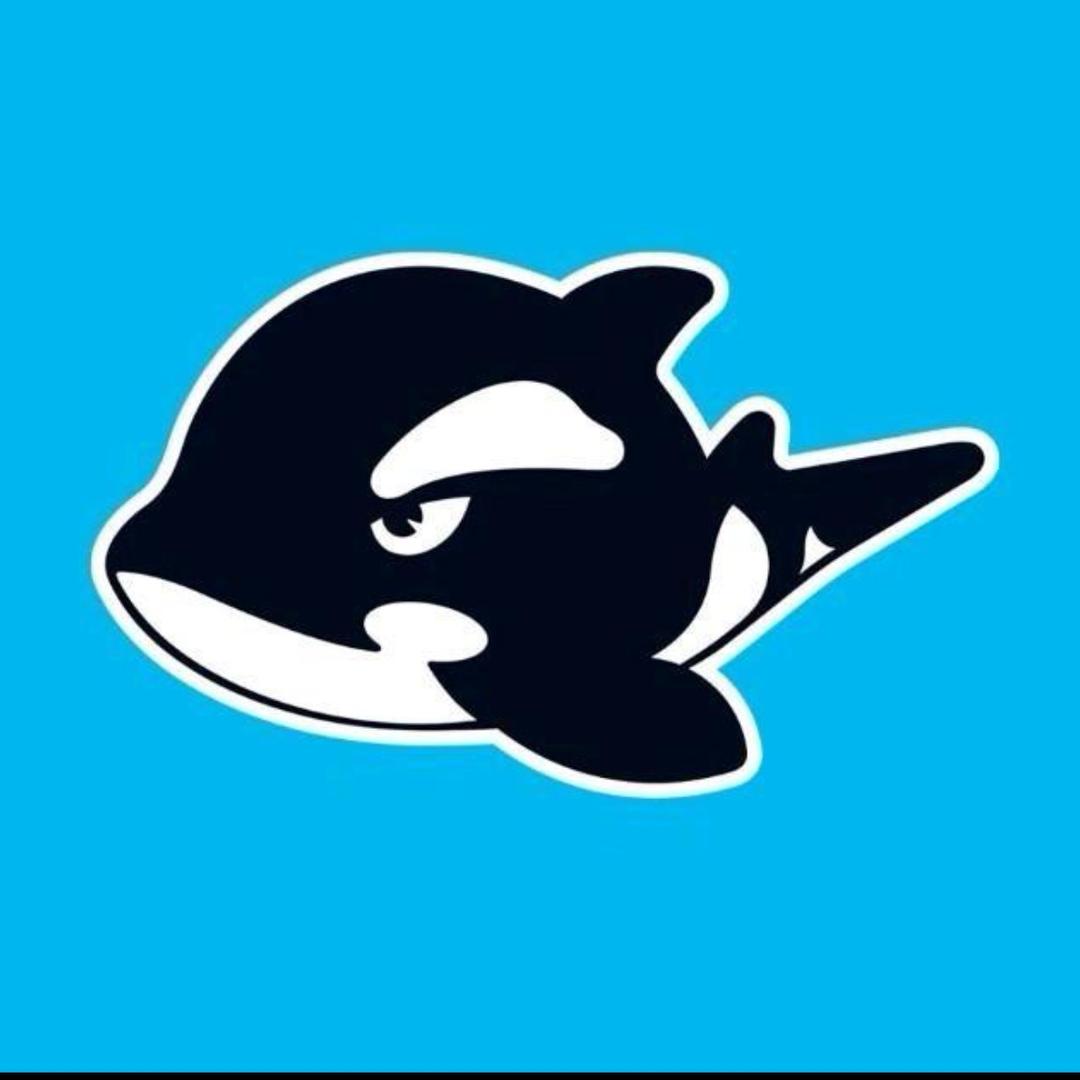 网鱼电竞洪浪北地铁站店