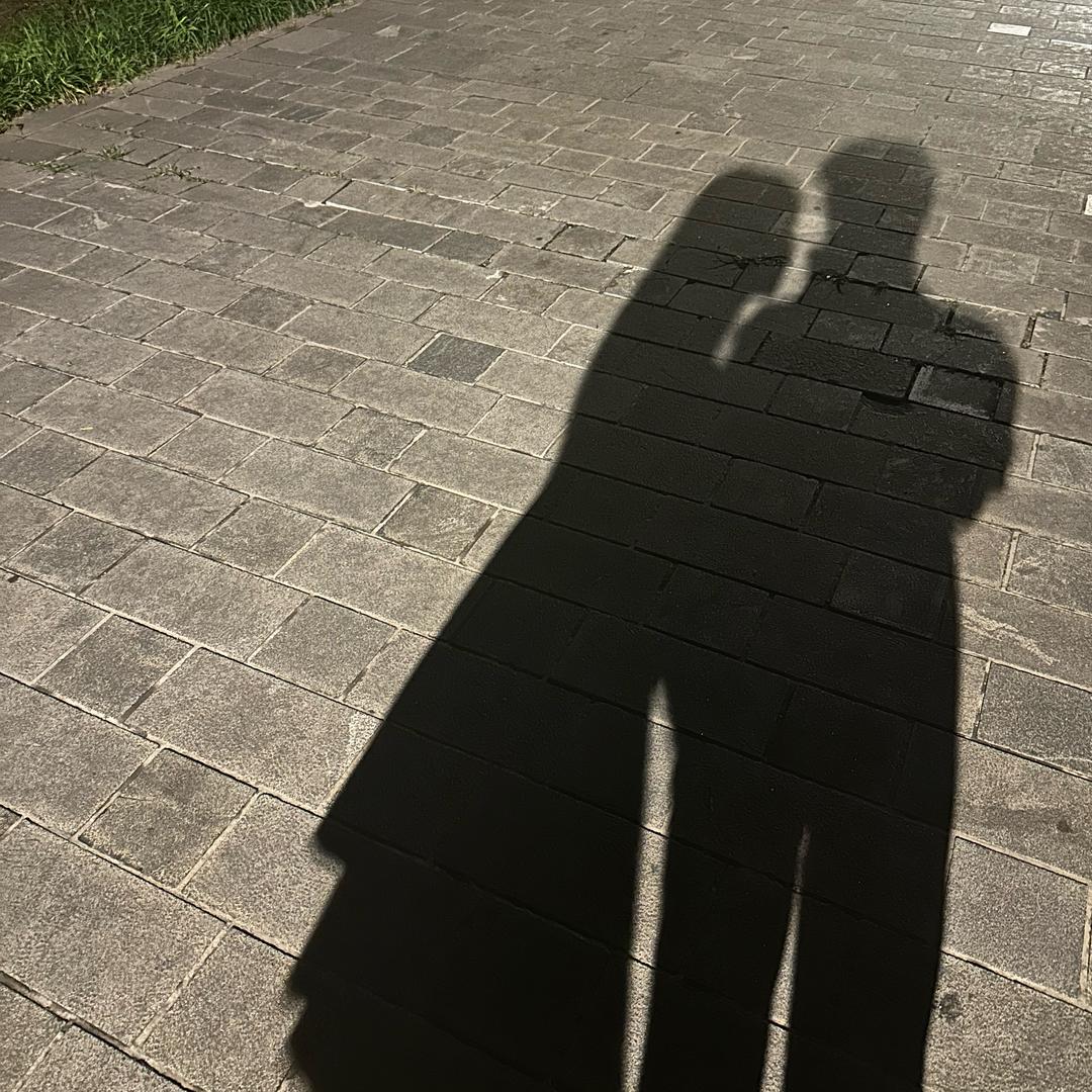 一心向上的小赵