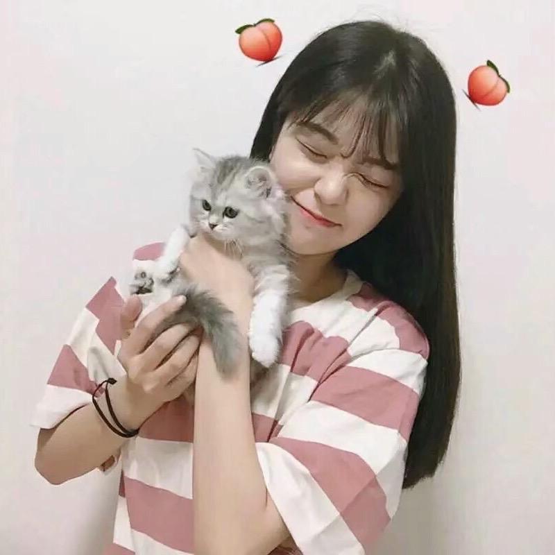 宝藏小队长迈豹传媒