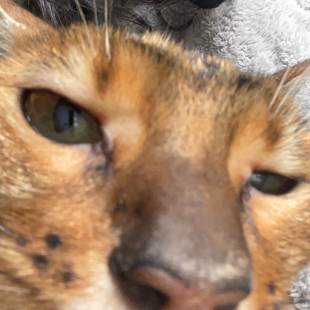 该用户没有名字