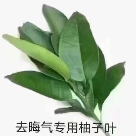 与二三三同名