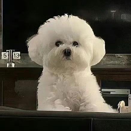 发疯🫥