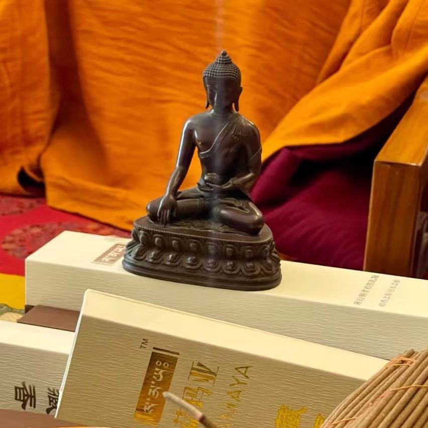 壹颗红辛
