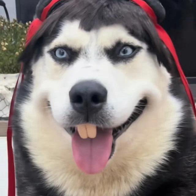 我的名字我觉得应该是最长的