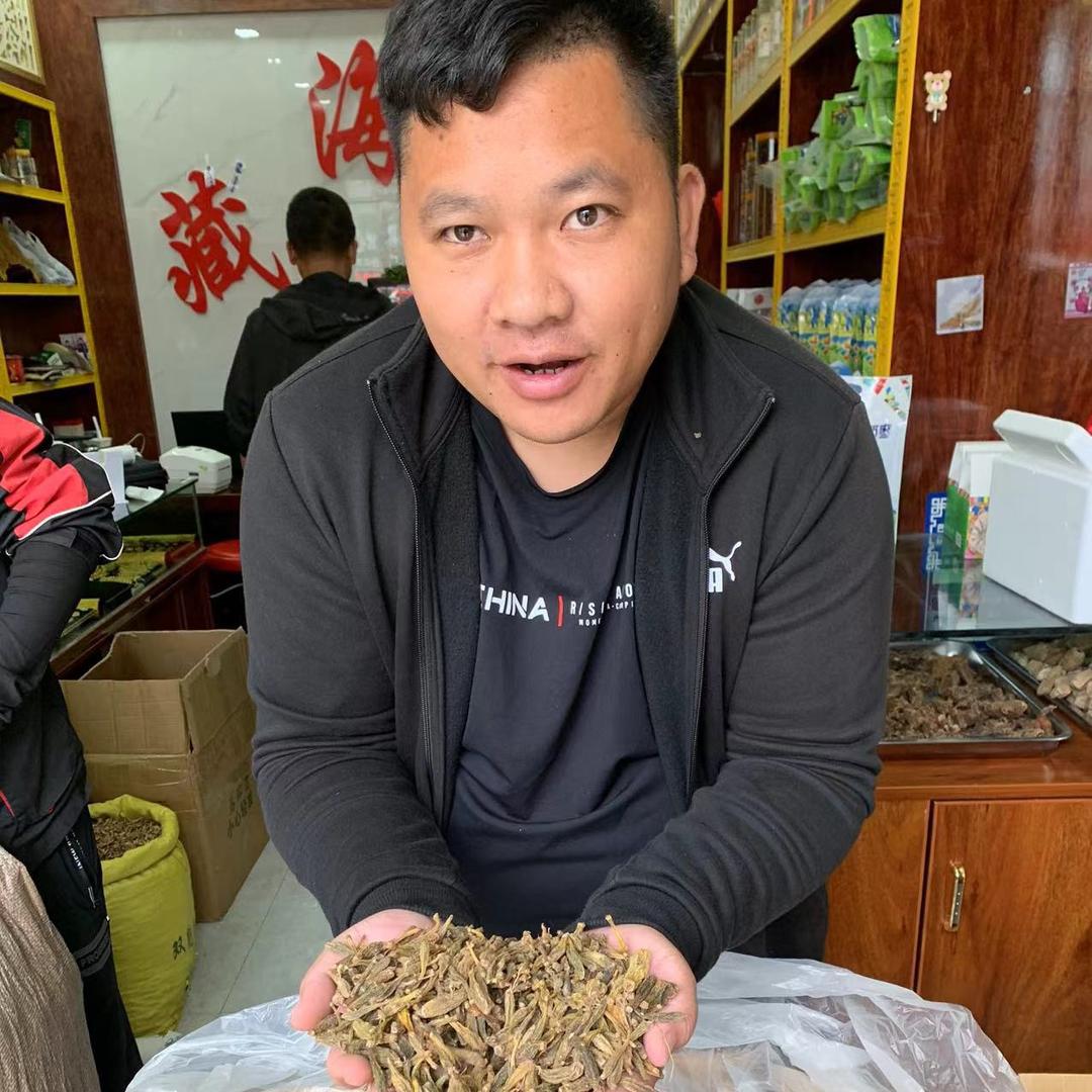 马伍团甄选