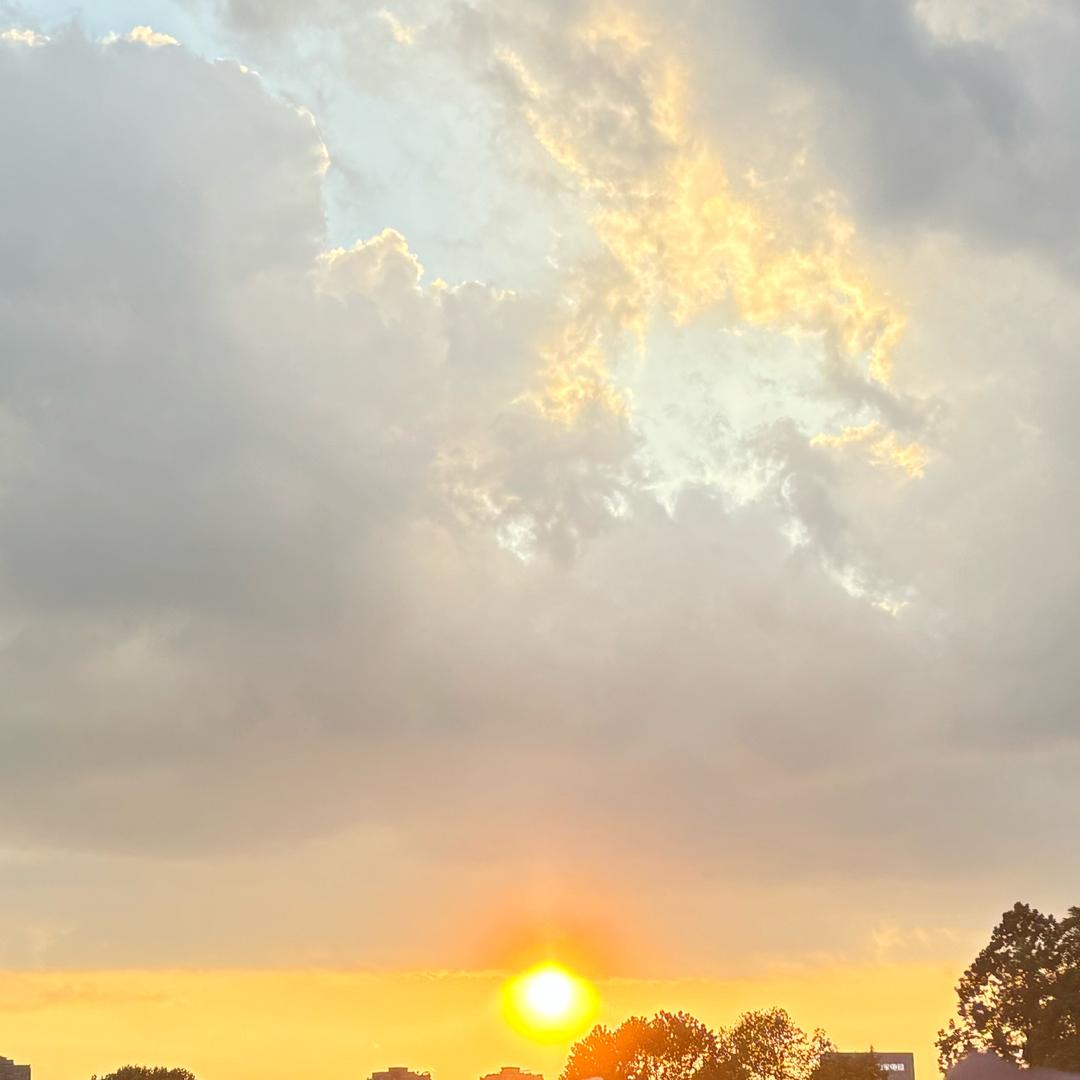🔮维维安☀️☀️☀️