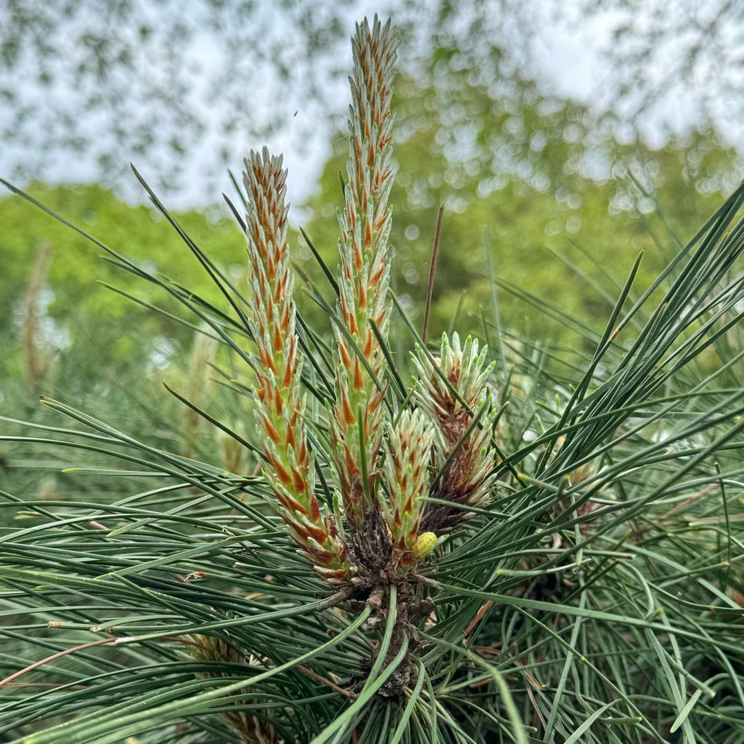 噢耶👱💪💪💪💪