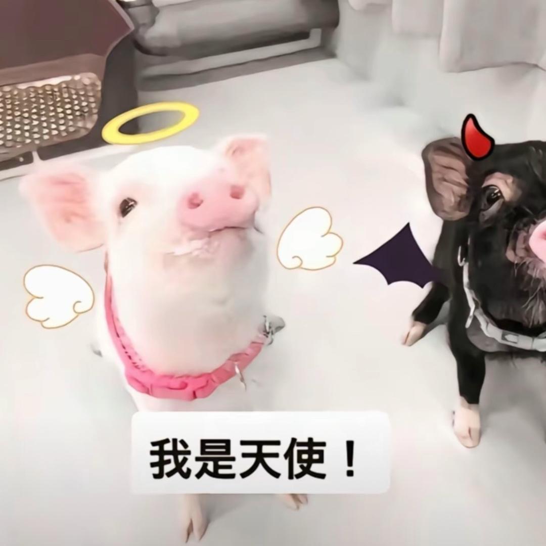 小 管.