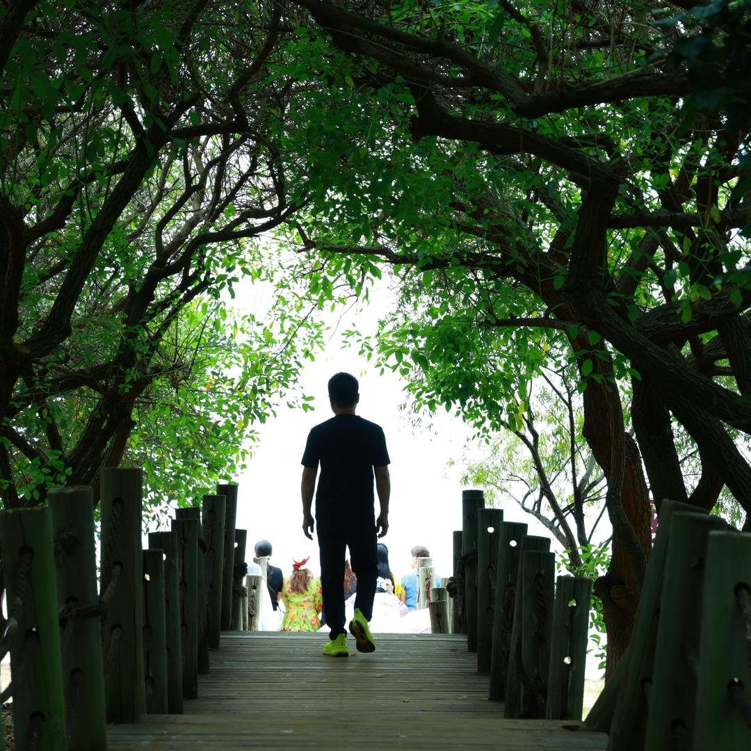 我终究会陪你牵手旅行