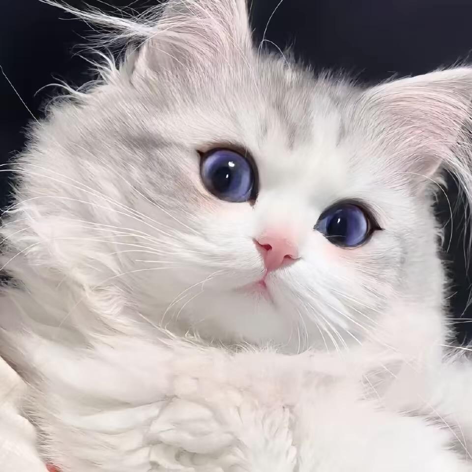 周周很nice