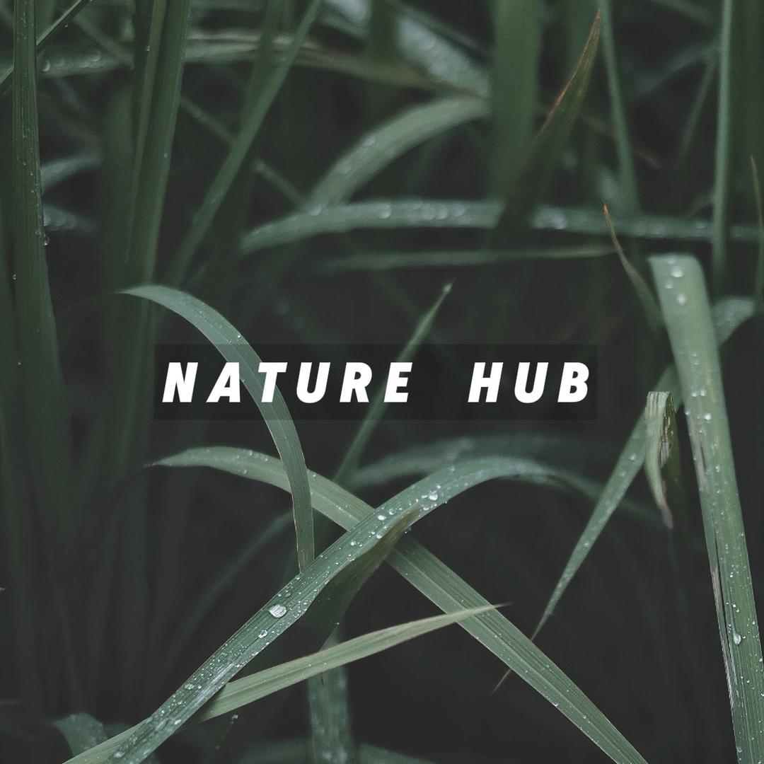 NATUREHUB