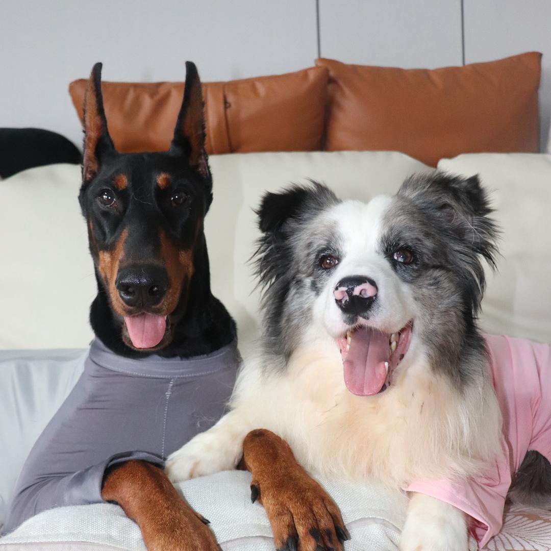 是花椒盐须的朋友圈！