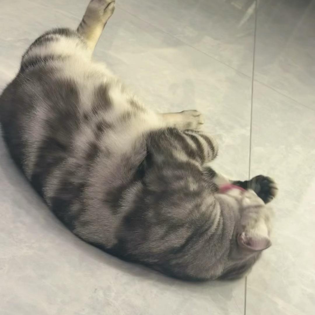 紫🧸婕