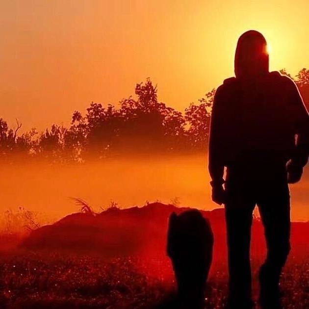 都已是入冬何必执着于春风暖