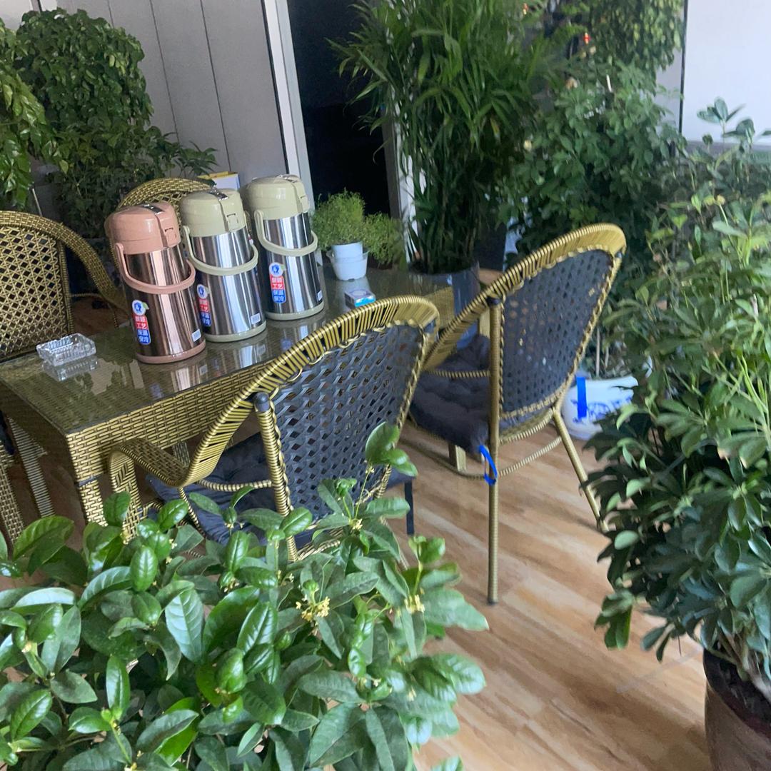 老男孩（强哥）