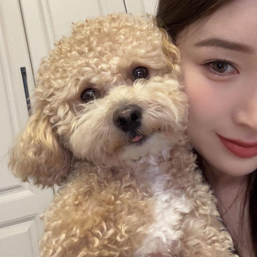 @雪儿吖