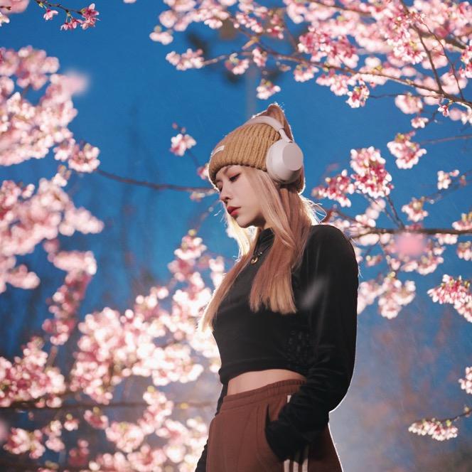 花楼楼-