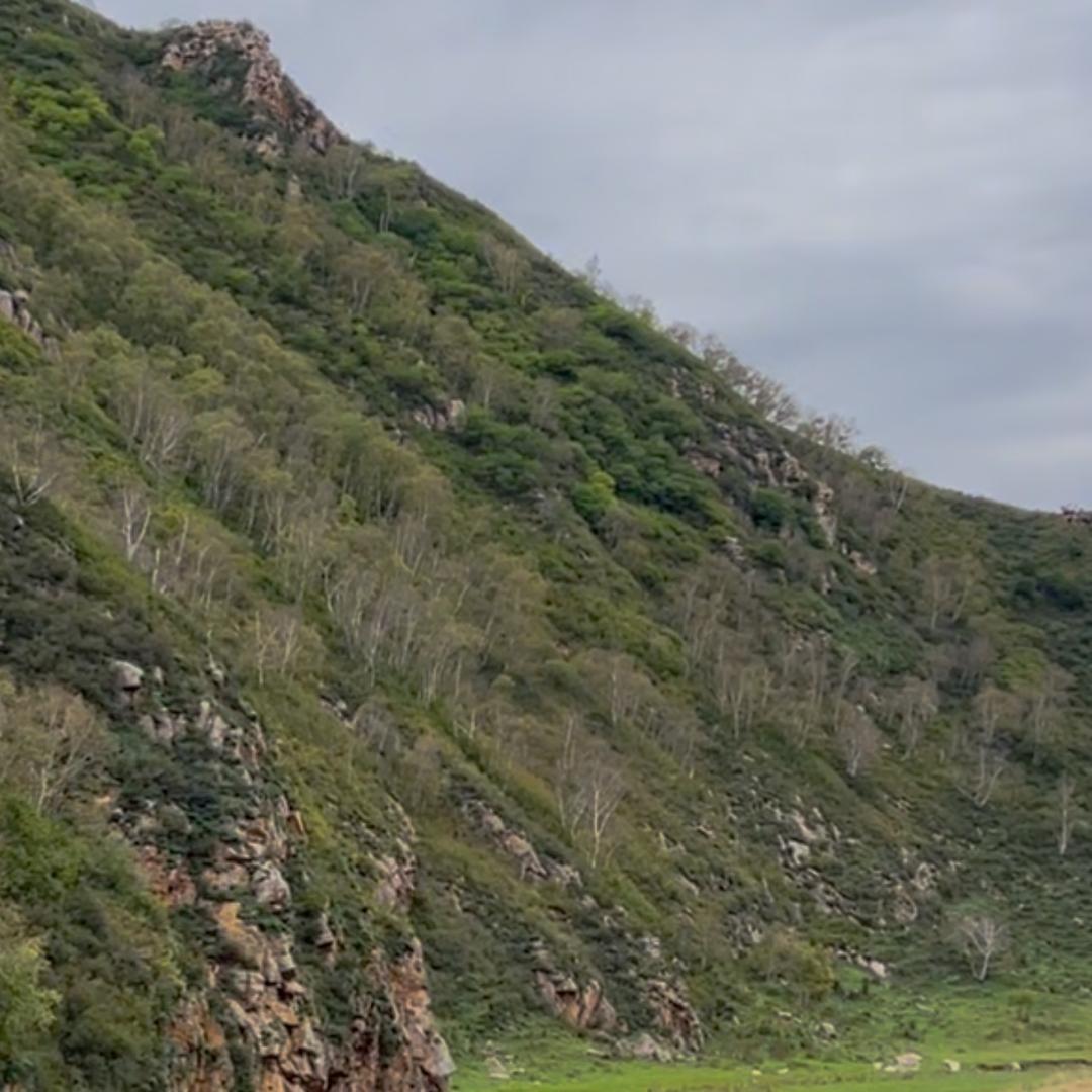 既见山海
