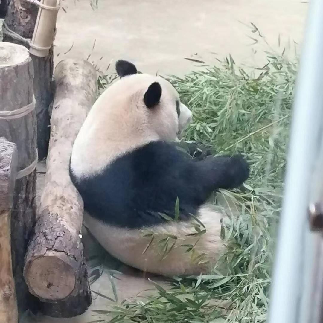 一切从未来开始