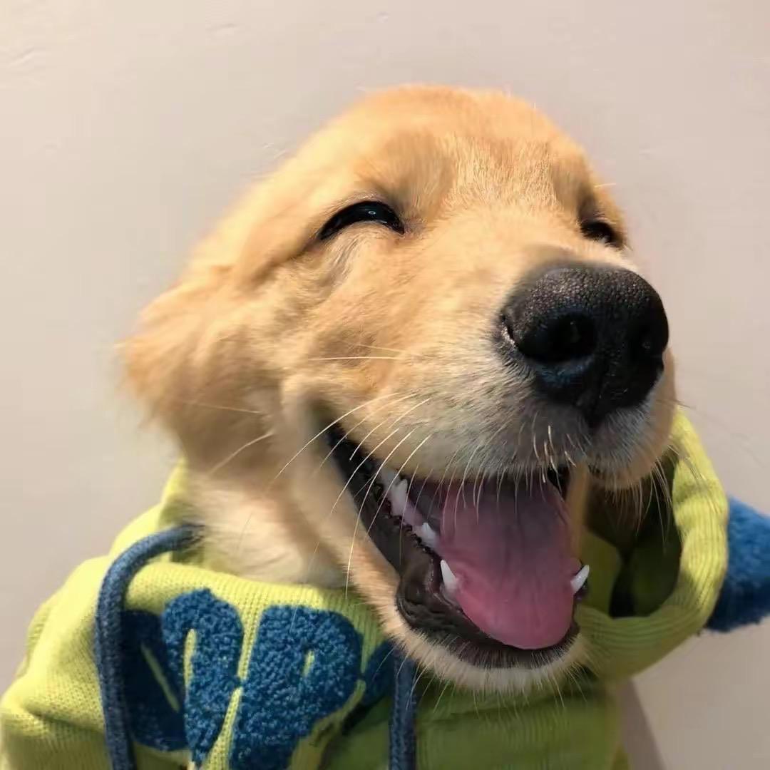 该该