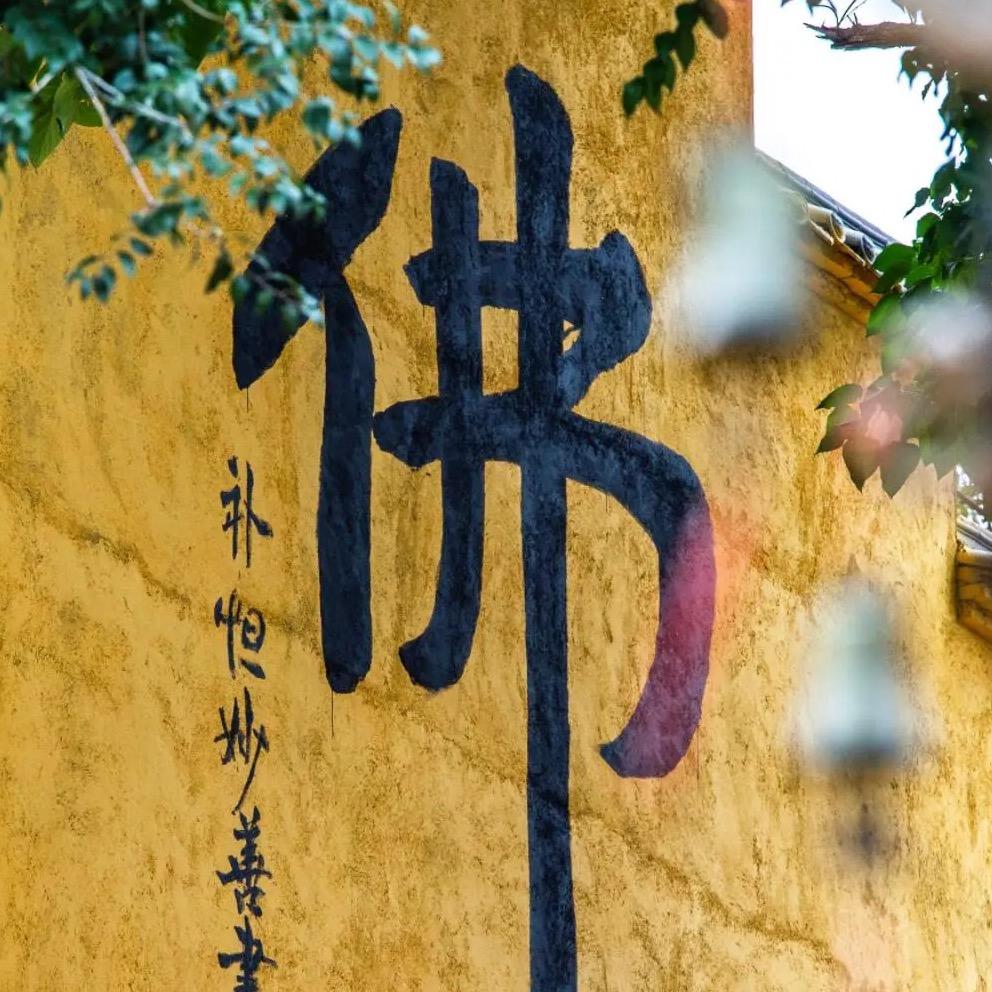 悟透