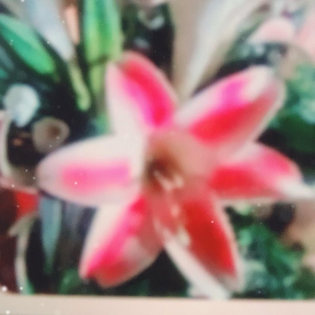 鱼姐