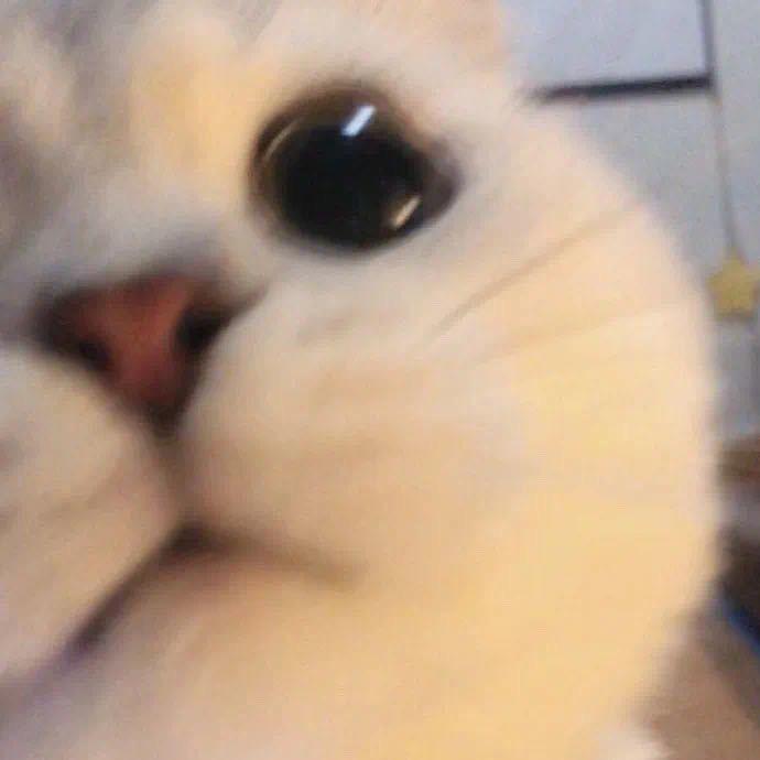 你‘