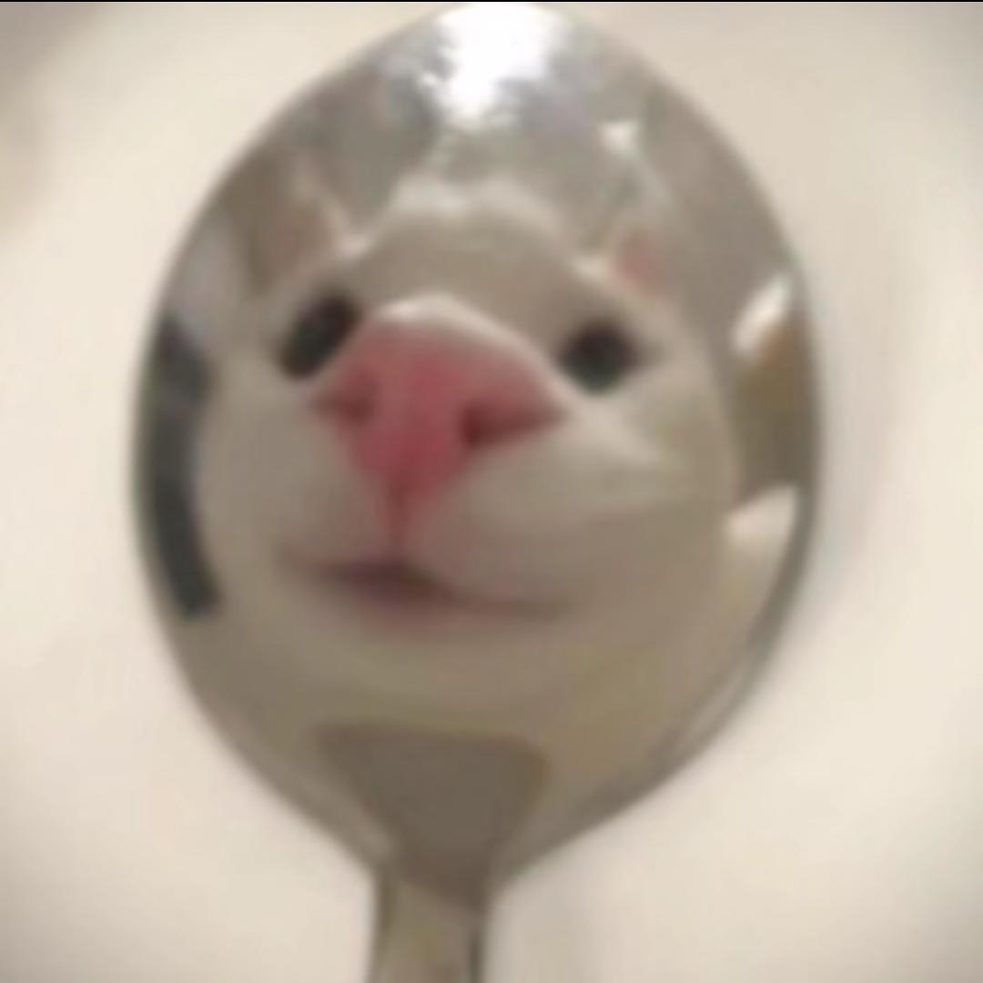 子涵家长
