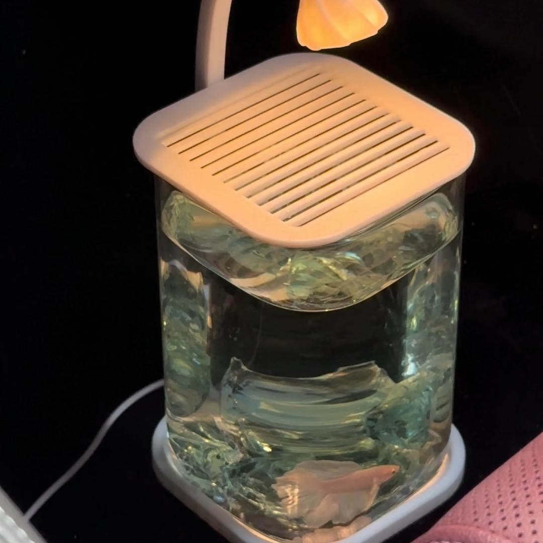 🌈七彩💗阳光🔥