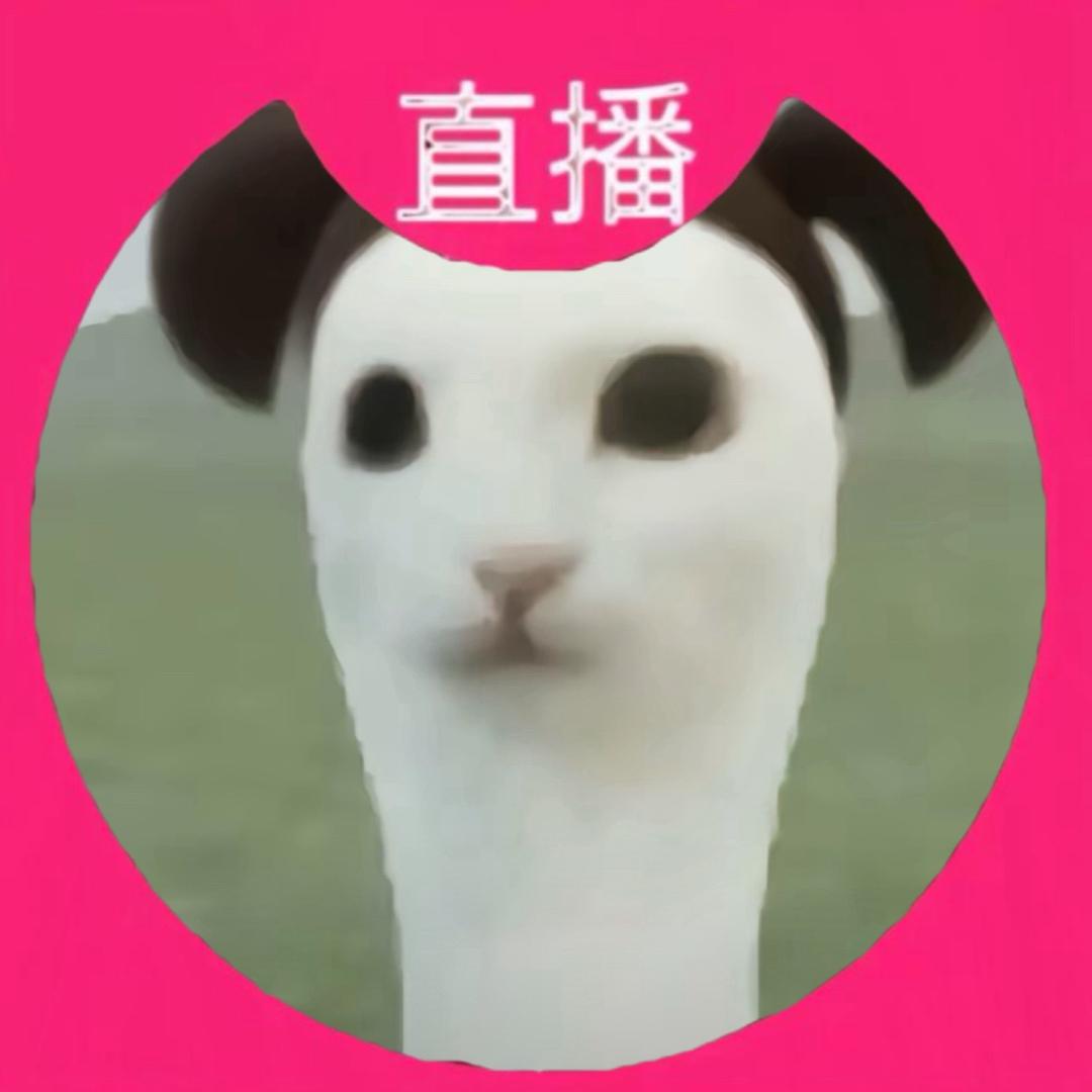 쥔쥔