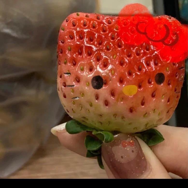 凸凸不秃