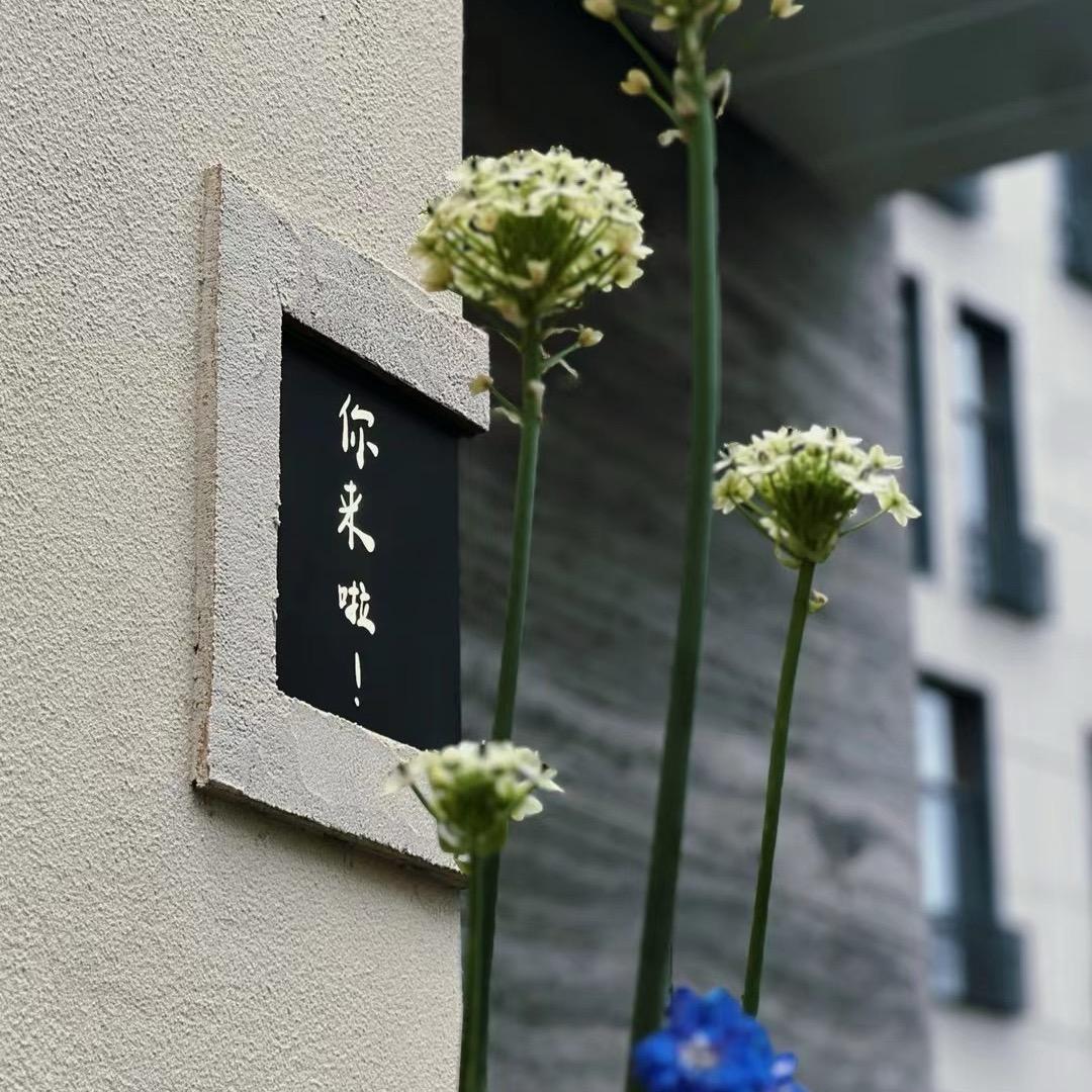 于雯雯