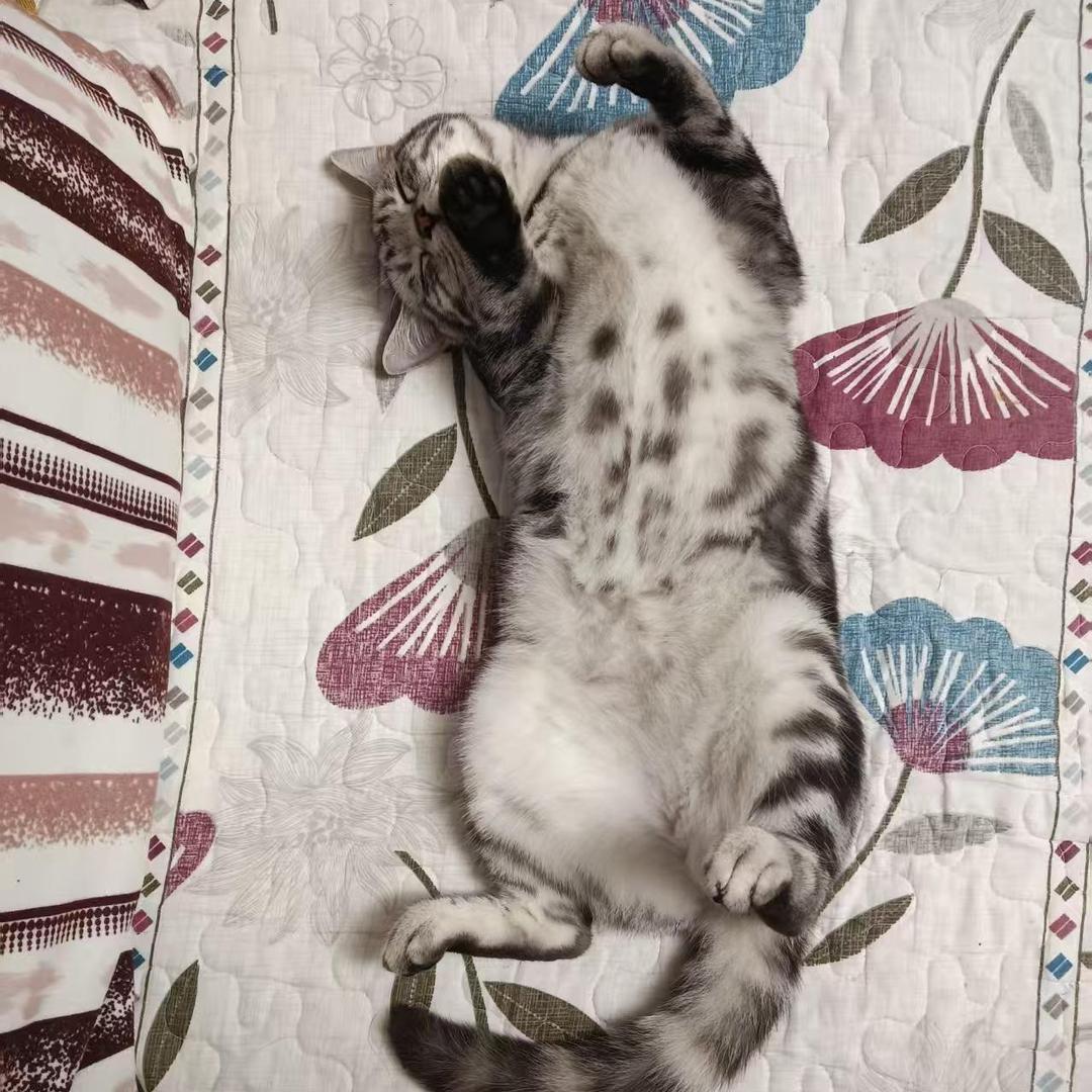 Hygge