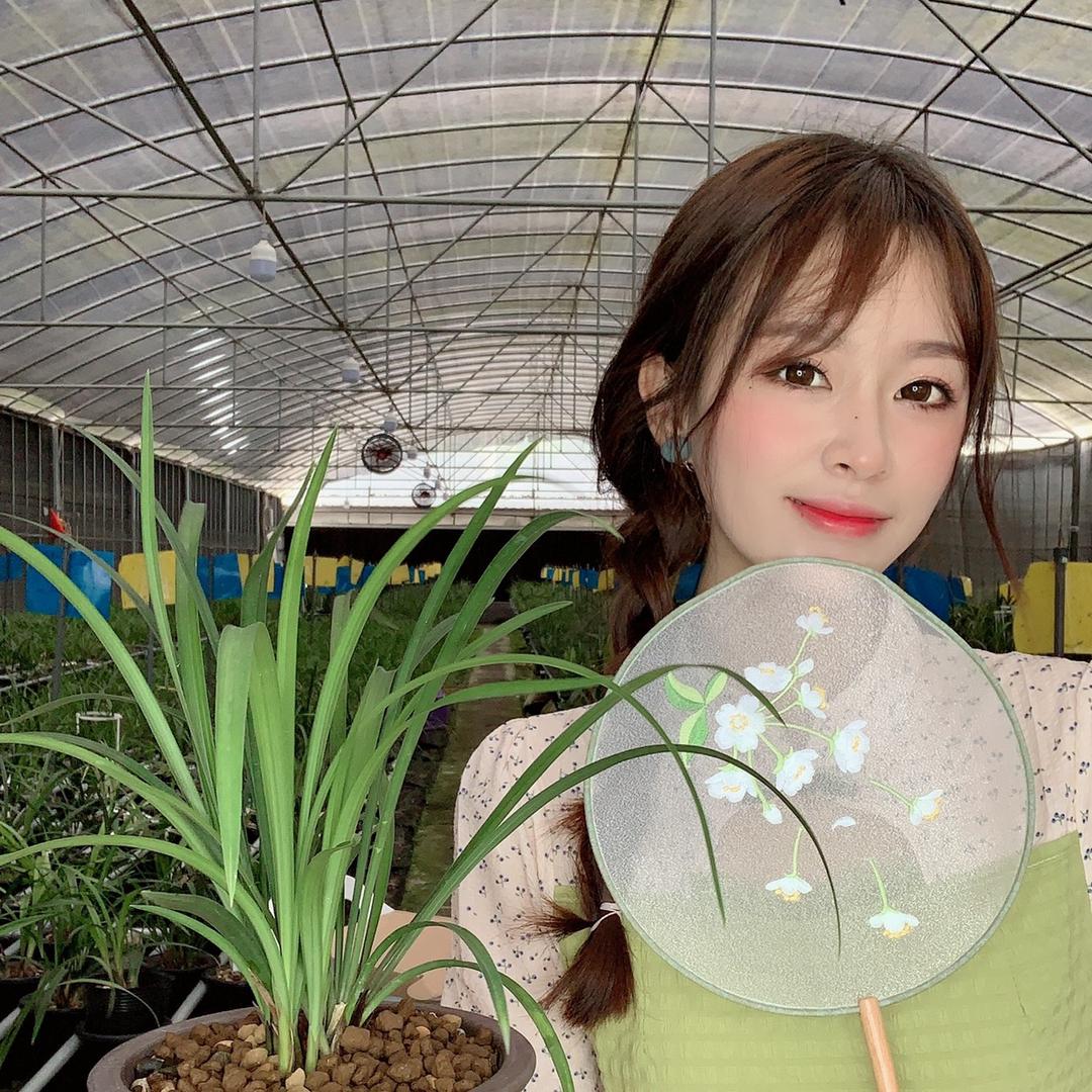 小游兰花