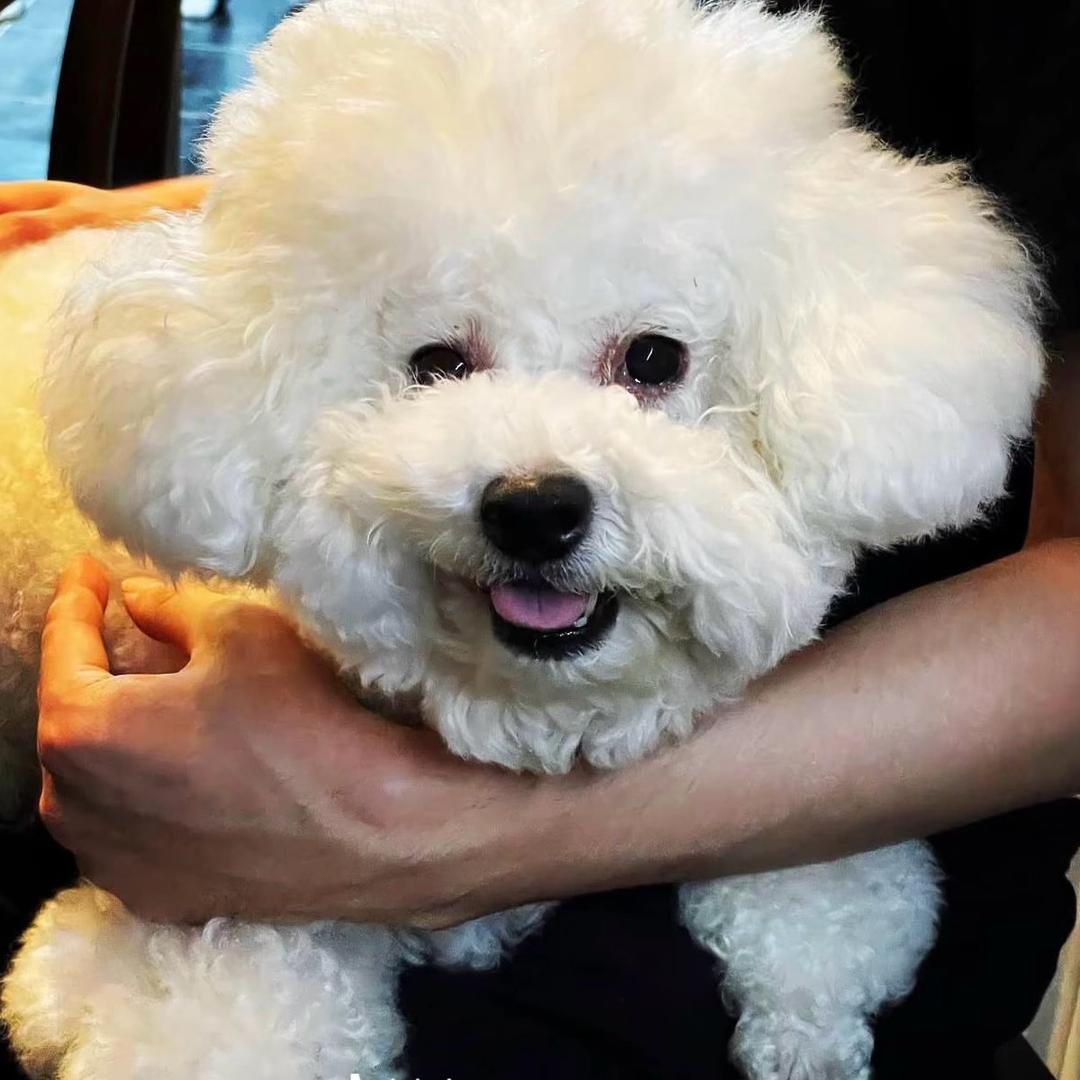 聆听风的声音.