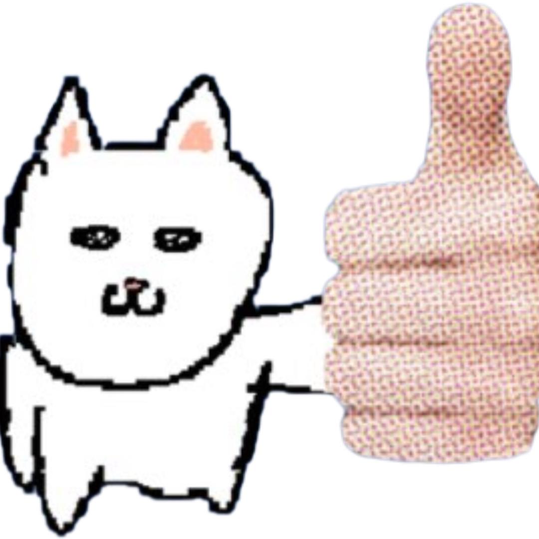 银八cc