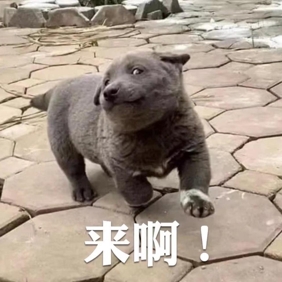 厦门福寓租房十九