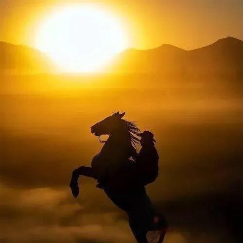 天道酬勤🐎