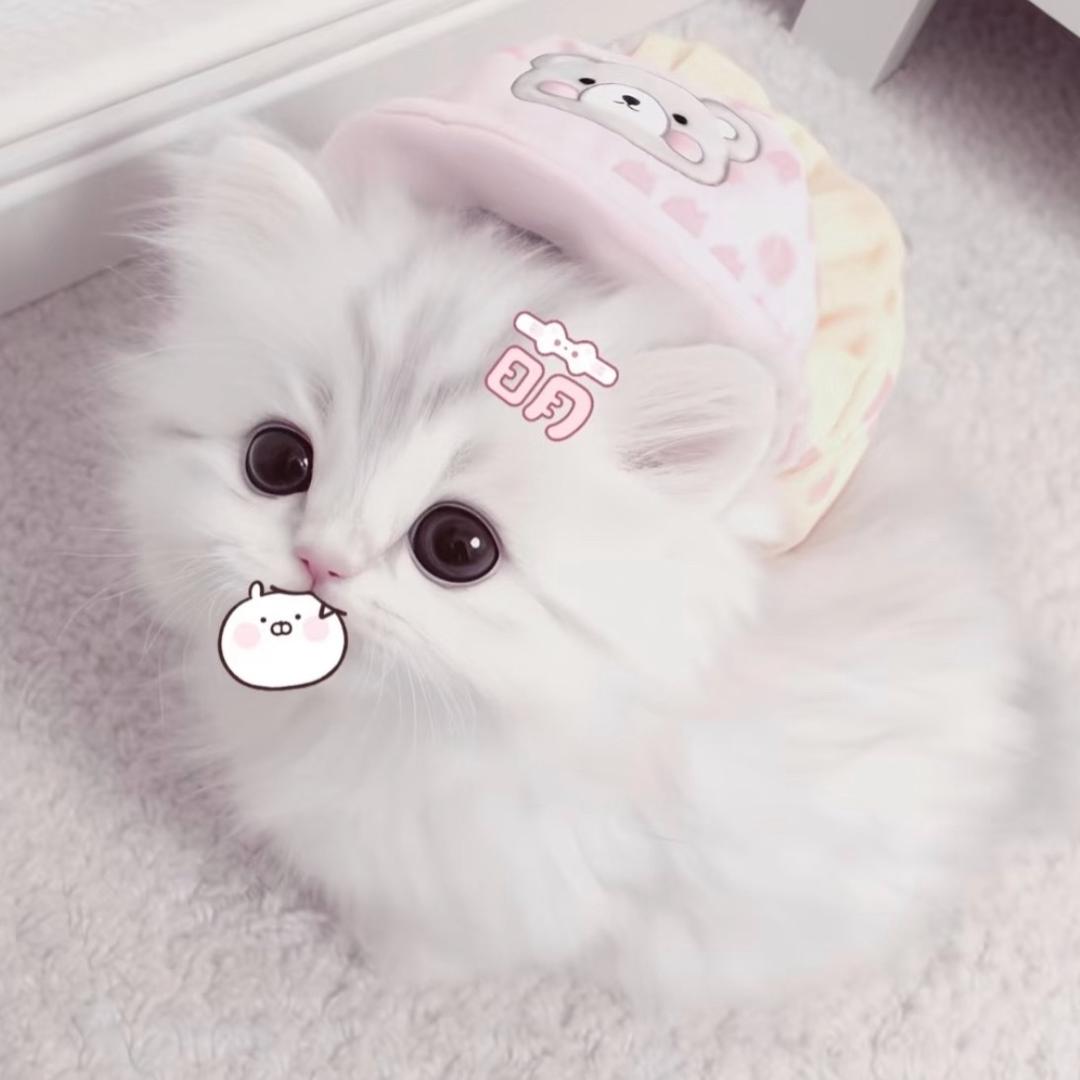2aOo