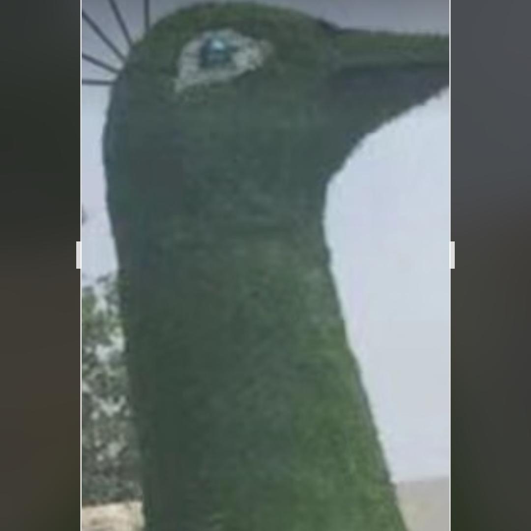 官庄妮亚农资超市