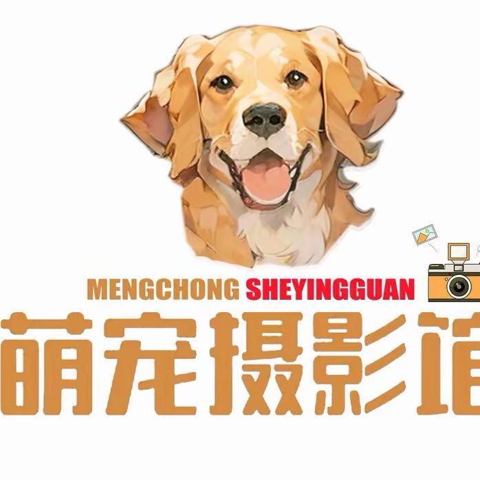 萌宠摄影馆