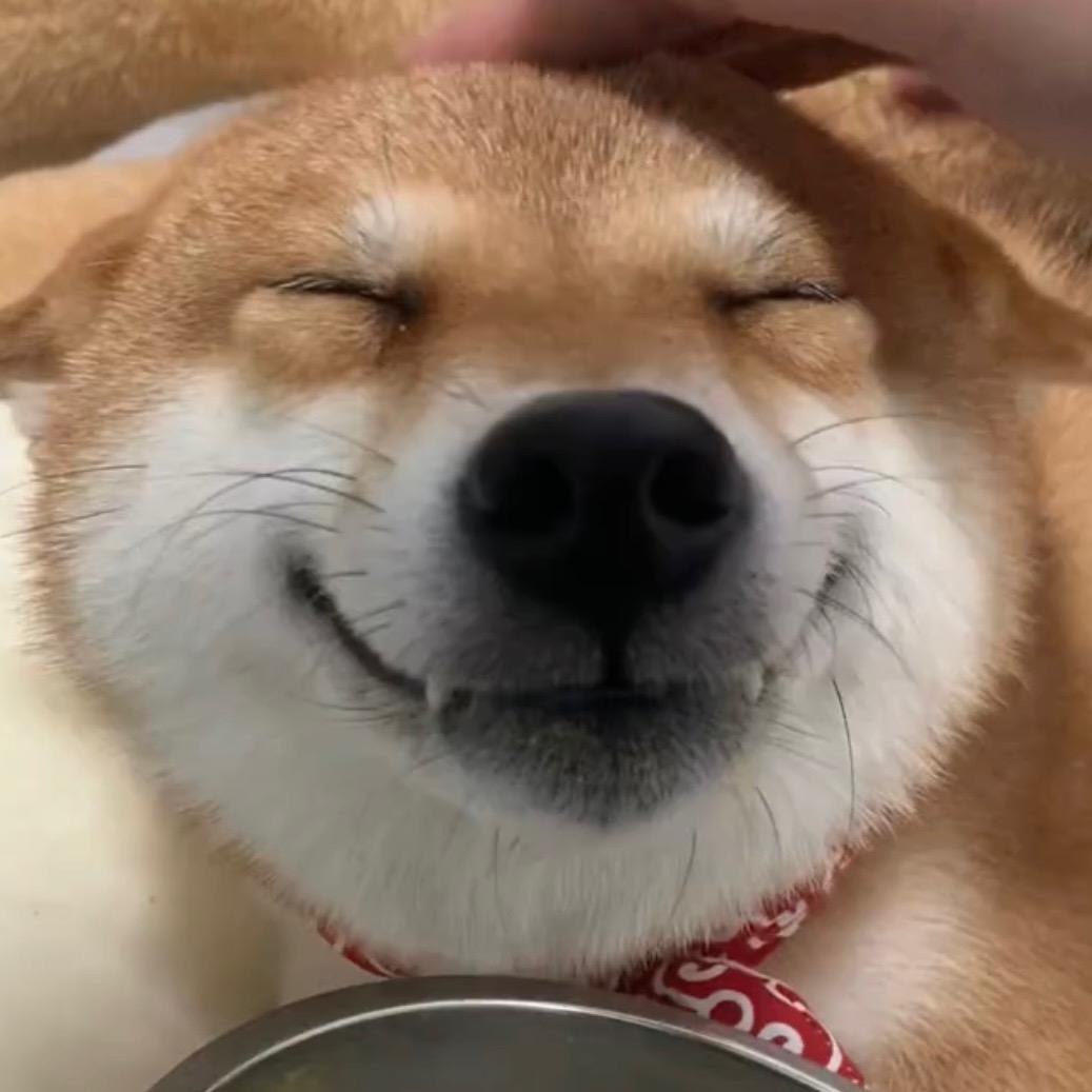 末末有品